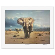 Rob MacIntosh "Elephant Territory" Limited Edition Lithograph on Paper