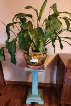 Peace Lily Houseplant In Ceramic Planter