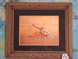 Framed Print of African Cheetah