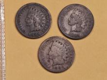 1886 and two 1886 Indian Cents