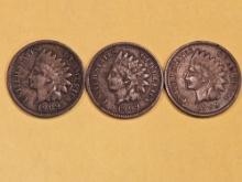 Three 1909 Indian Cents in Very Fine plus