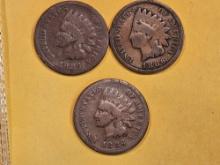 1885 and 1886 Type 1 and Type 2 Indian Cents