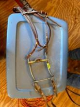 Leather headstall with port bit and reins!