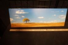 Lone Tree Canvas Picture