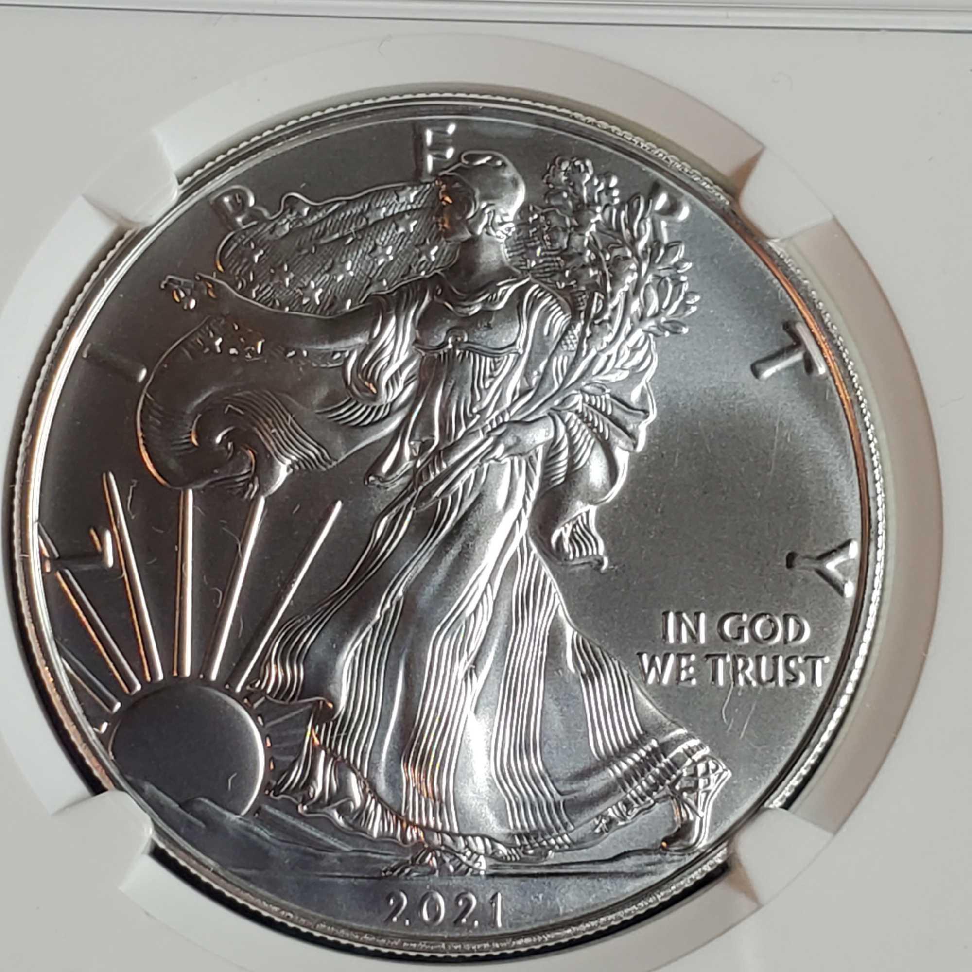 2 MS 69 NGC Silver American Eagle 1 Troy Oz .999 Silver Coins -1987 and 2021