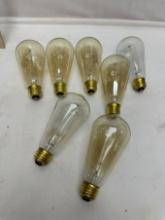 (7) Vintage Style Light Bulbs