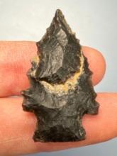 1 3/8" Impressive Serrated Chert Point, Found in Berks Co., PA, Ex: Kauffman Collection