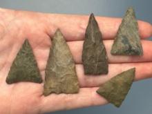 x5 Nice Chert Triangle Points, Longest is 1 7/8", From a Collection of Artifacts Found in Conn