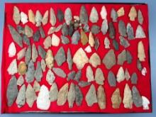 75+ Various Arrowheads, Points, Most Found in Gloucester County, New Jersey