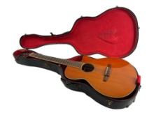 Vintage Ibanez Acoustic Guitar
