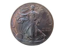 FEATURE 2013 American Silver Eagle - TONED