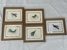Antique Hummingbird Prints by Sir William Jardine Set of 5