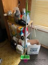 cleaning supplies and stand laundry room