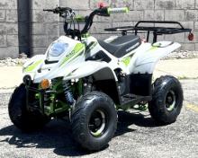 2022 Youth Tao Tao B110 Green ATV