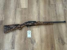 Ruger 10/22