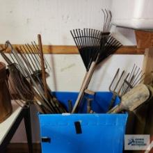 Lot of antique pitchforks, yard and garden tools, and corrugated plastic bin