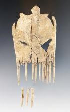 Ornately Styled 3 1/2" Iroquois Bone Comb - White Springs site, Geneva New York.