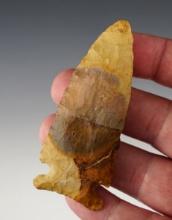 3 1/8" Archaic Big Sandy made from multi-colored Chert. Well made. Midwestern U.S.