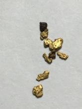 Gold Nugget Lot Alaskan Top End Yellows 20 Kt+ .11 Grams