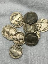 (12) Buffalo Nickels Different Dates