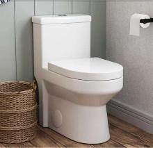 DEERVALLEY Liberty 12 in. Rough in Size 1-Piece 1.1/1.6 GPF Compact Dual Flush Elongated Toilet in