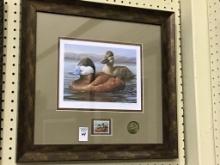 Framed Signed & Numbered Ruddy Duck Print