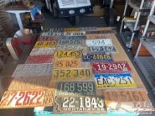 49 License Plates