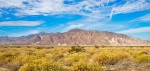 Own 2.5 Acres of Adventure in Imperial County, California!
