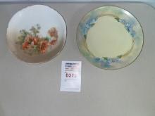 (2) painted plates