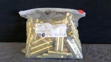 100 W-W Super .30-06 Brass