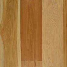 Sea Pine American Hickory ***Sold By the SF Times the Money***